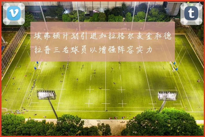 埃弗顿计划引进加拉格尔麦金和德拉普三名球员以增强阵容实力