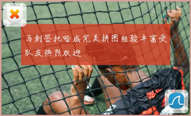 马刺签托哈成完美拼图经验丰富受队友热烈欢迎