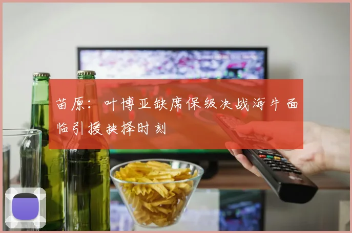 苗原：叶博亚缺席保级决战海牛面临引援抉择时刻